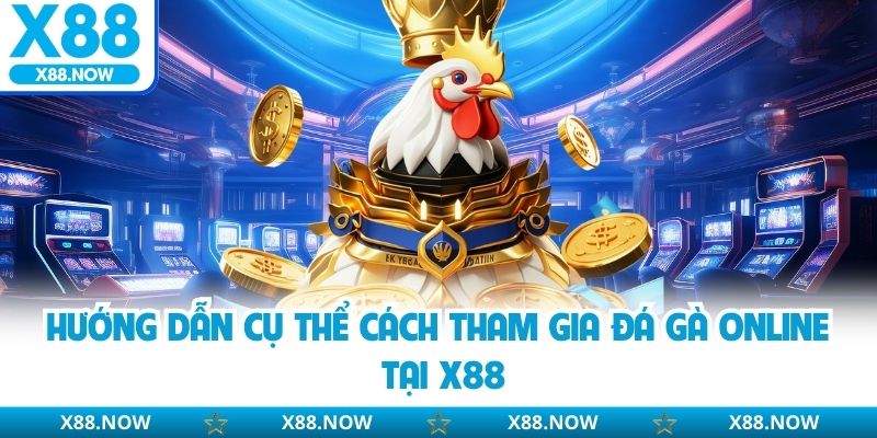 Hướng dẫn cụ thể cách tham gia đá gà online tại X88